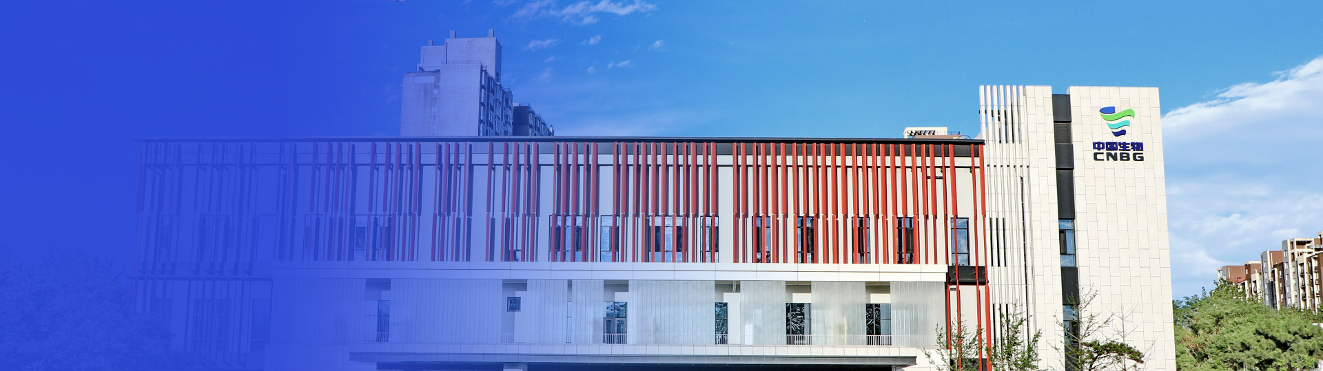 关于pa尊龙凯时